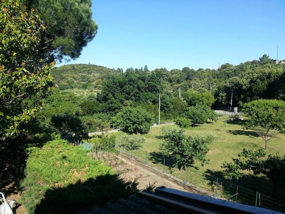 Appartement Au Fond Du Jardin Saint Jean du Pin Esterno foto